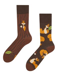 Dedoles Lustige Socken Eichhörnchen