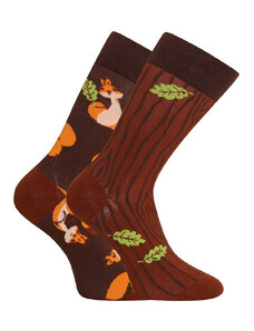 Lustige Socken Dedoles Eichhörnchen (GMRS141) M