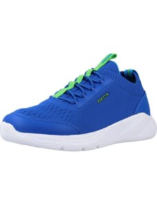 Geox J SPRINTYE Boy Sneaker, ROYAL/Green, 39 EU