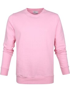 Colorful Standard Sweater Pastellrosa