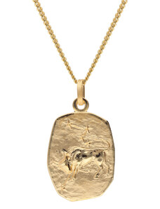 trendor Stier Sternzeichen Gold 333 / 8K mit vergoldeter Silberkette 15404-05-45, 45 cm
