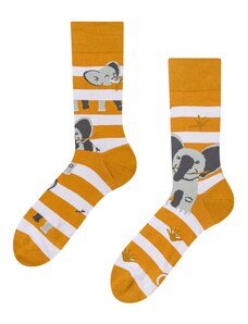 Dedoles Lustige Socken Elefant und Streifen