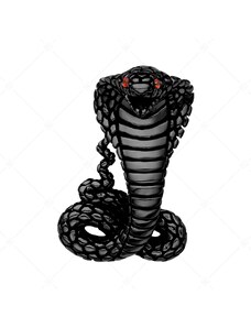 BALCANO - Cobra / Edelstahl Cobra-Anhänger mit Zirkonia-Edelsteinen, schwarz PVD Beschichtung