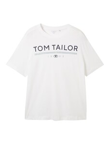 TOM TAILOR Men T-Shirt