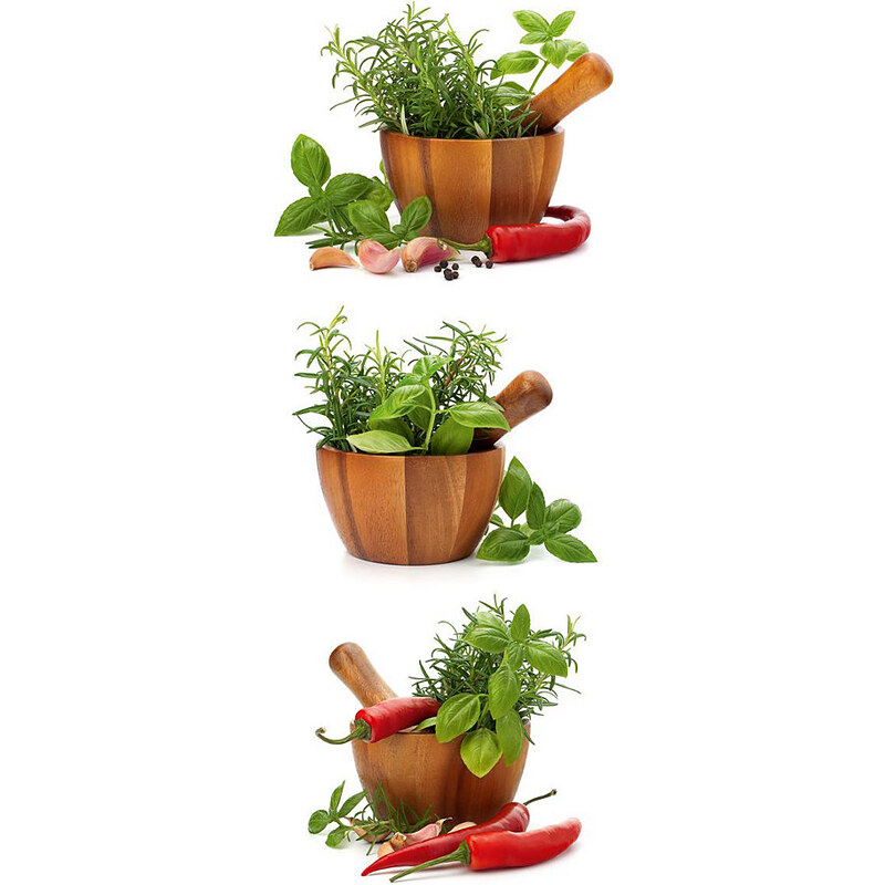 EUROGRAPHICS Glasbild Fresh Flavoring Spices & Herbs 30/80cm EUROGRAPHICS grün