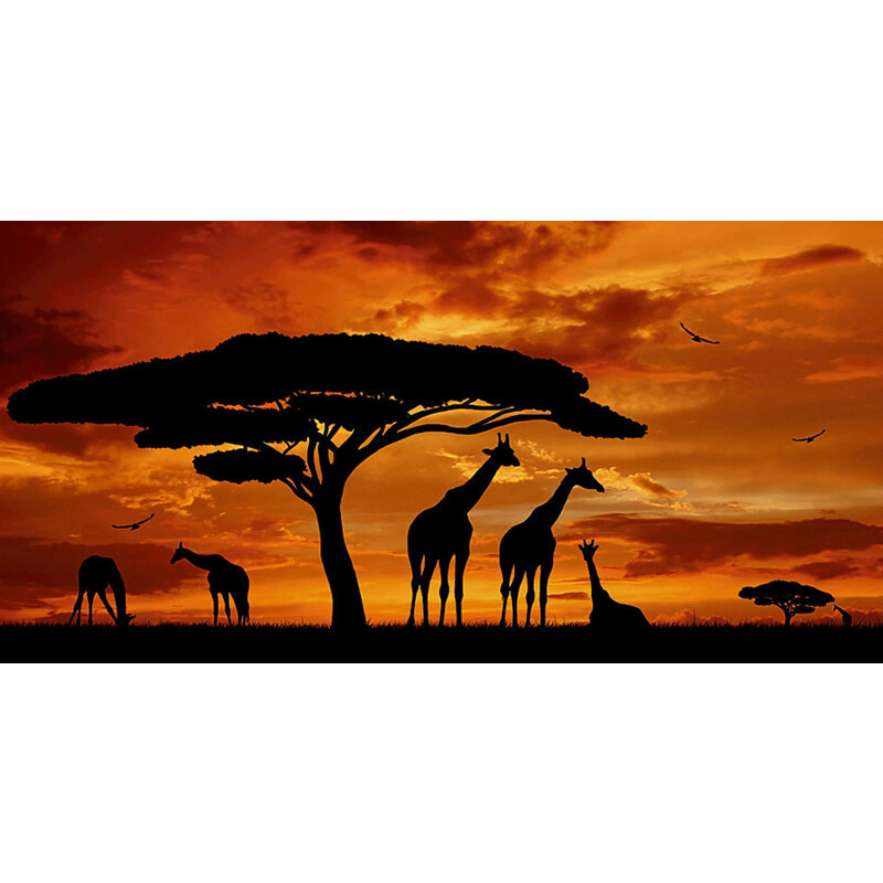 Glasbild vencav: Herde von Giraffen im Sonnenuntergang 100/50 cm HOME AFFAIRE braun