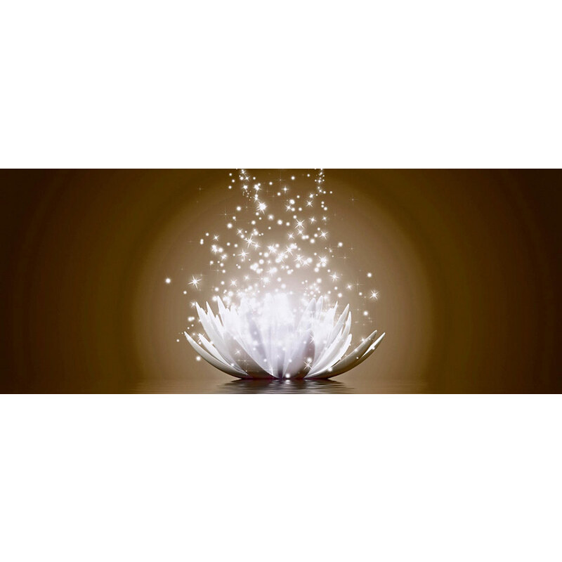 HOME AFFAIRE Glasbild V. Georgiev: Magie der -Blume 125/50 cm braun