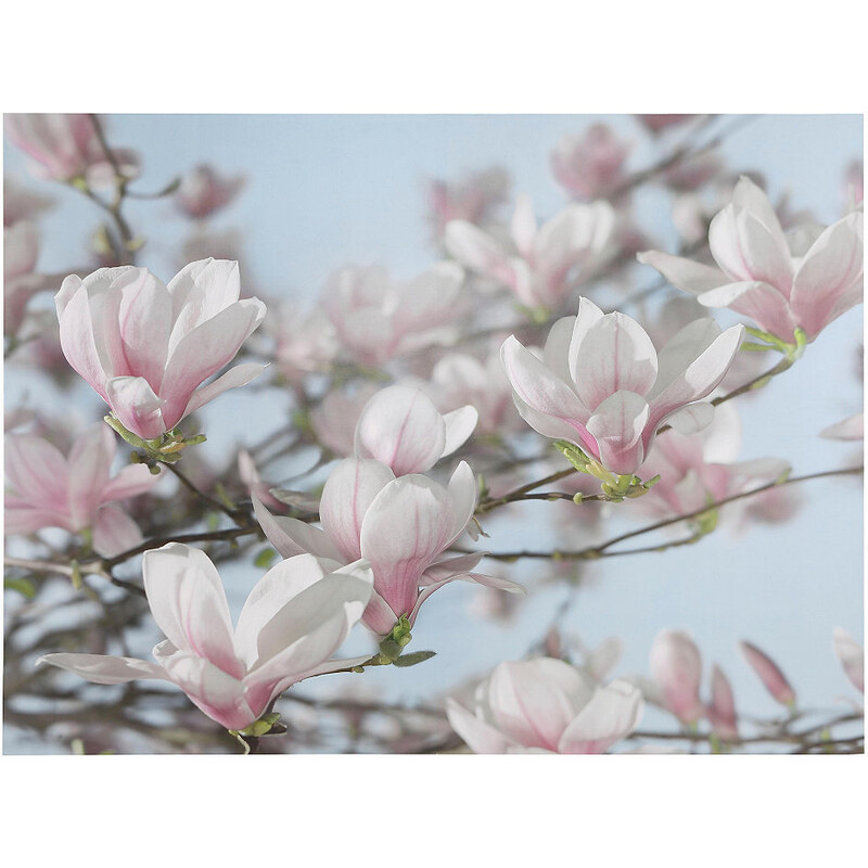 KOMAR Fototapete Magnolia 368/254 cm