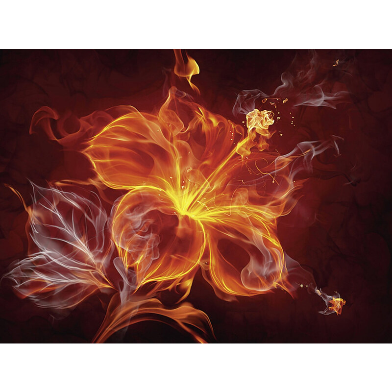 PREMIUM COLLECTION BY HOME AFFAIRE Premium collection by Glasbild Misha: Feuerblume 80/60 cm rot