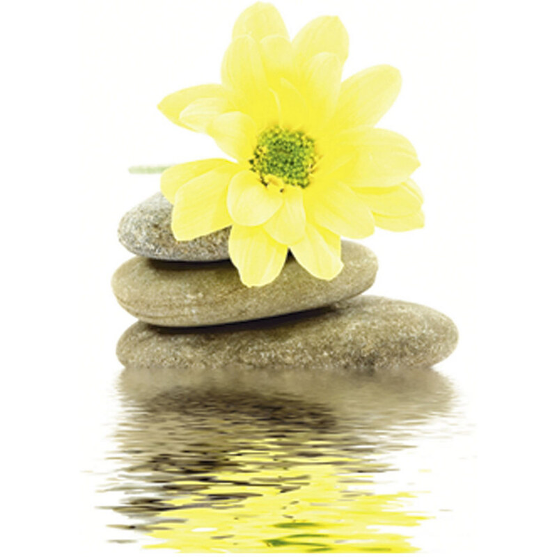 Glasbild Blume und Steine 30/30 cm HOME AFFAIRE gelb