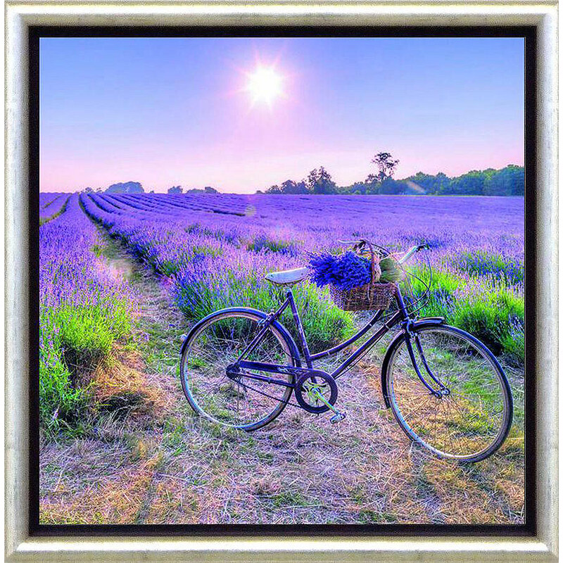 PREMIUM PICTURE Schattenfugenbild Fahrrad am Lavendelfeld 30/30 cm lila