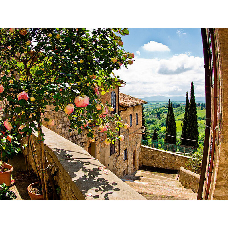 Glasbild banepetkovic: Rosen in San Gimignano mit Toskanalandschaft 80/60 cm HOME AFFAIRE grün