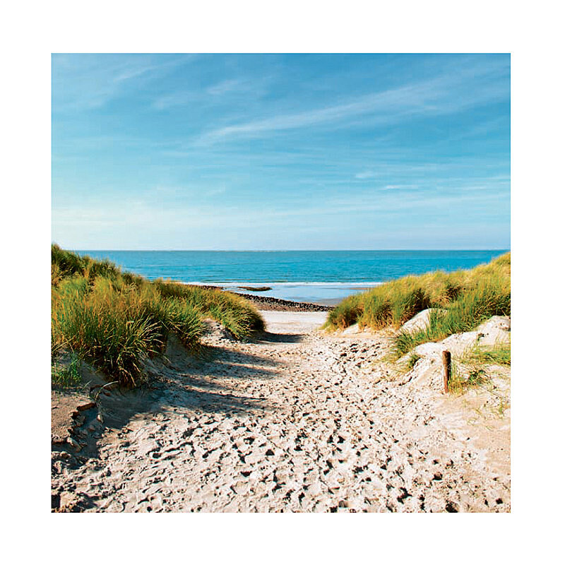 Glasbild Beach with sand dunes and a path to the sea 30/30 cm Artland natur