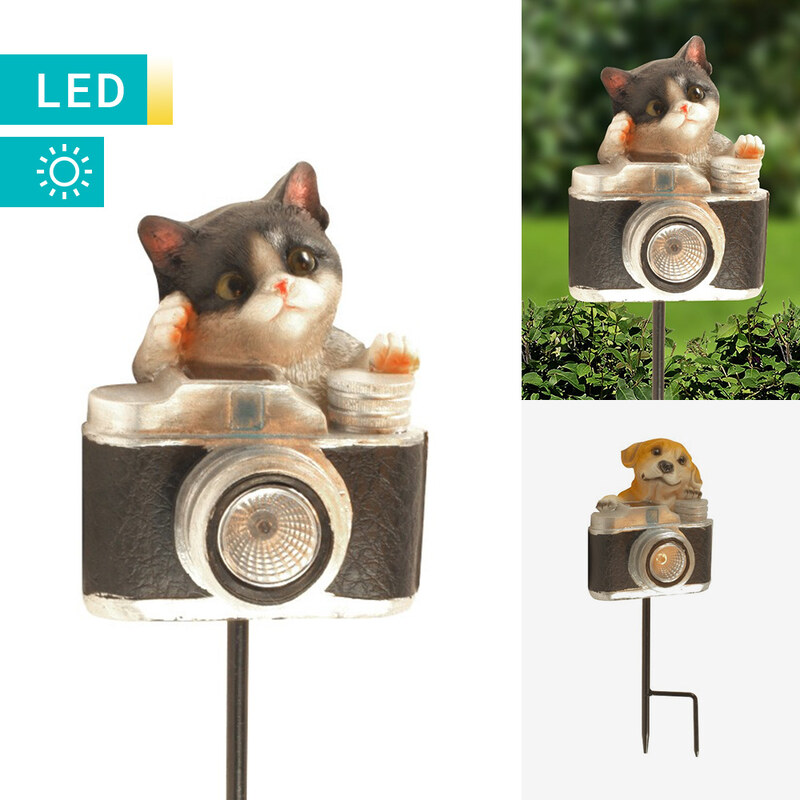 Lesara Solarlampe Kamera mit Tier - Hund