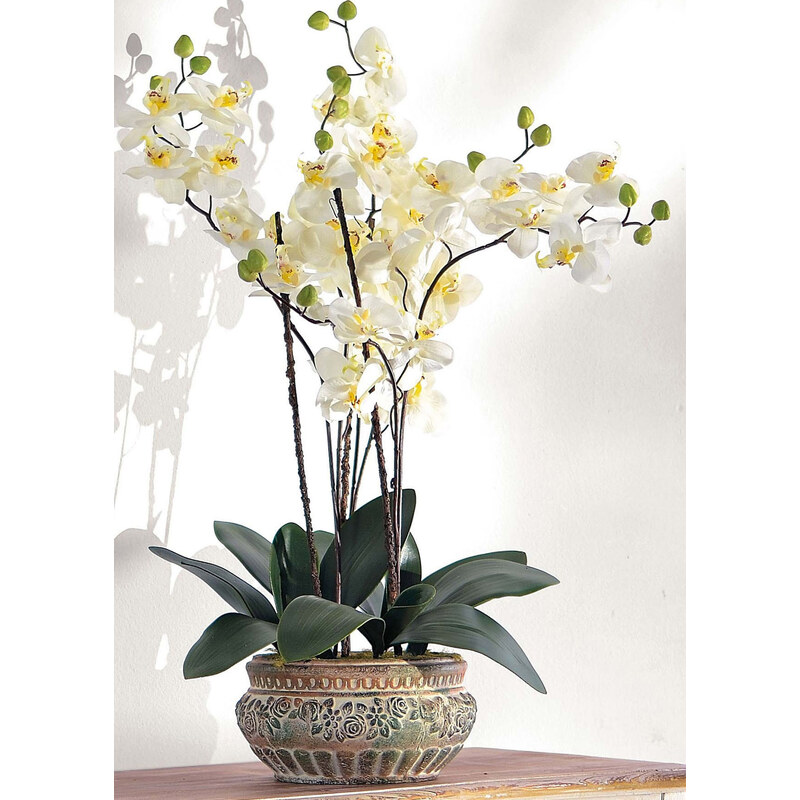 Home Collection Kunstblume weiße Orchidee in weiß von bonprix