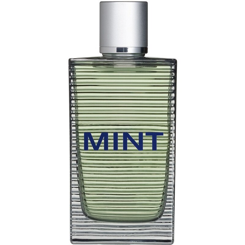 Toni Gard Mint Man Spray Eau de Toilette (EdT) 75 ml für Frauen und Männer