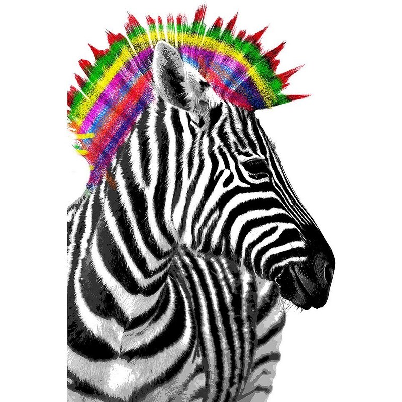 Bild, Home affaire, »Zebra Punk«, 60/90 cm
