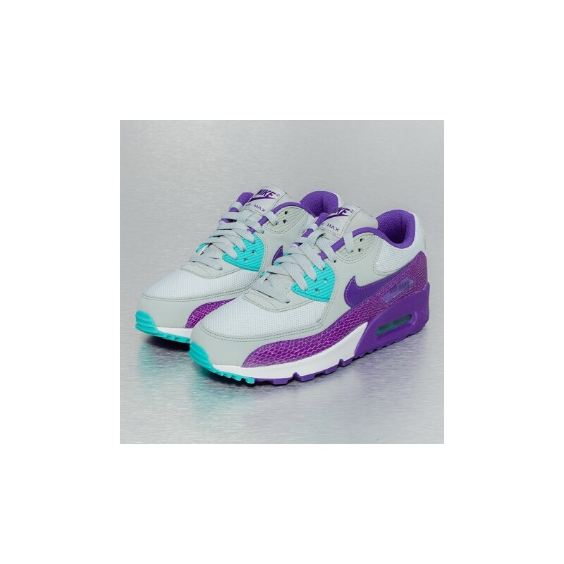 Nike Air Max 90 Sneakers Silver Wing/Court Purple