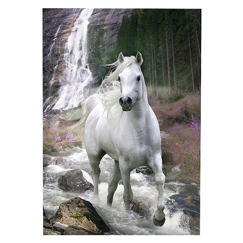 Wandbild, »Weißes Pferd«, Premium Picture