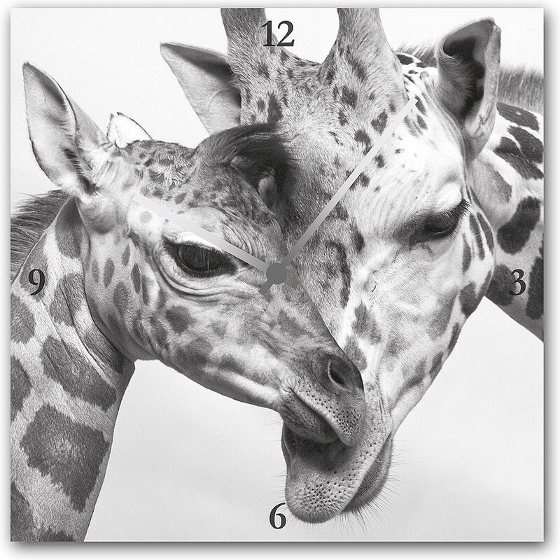 Acrylglas-Uhr »Giraffen«