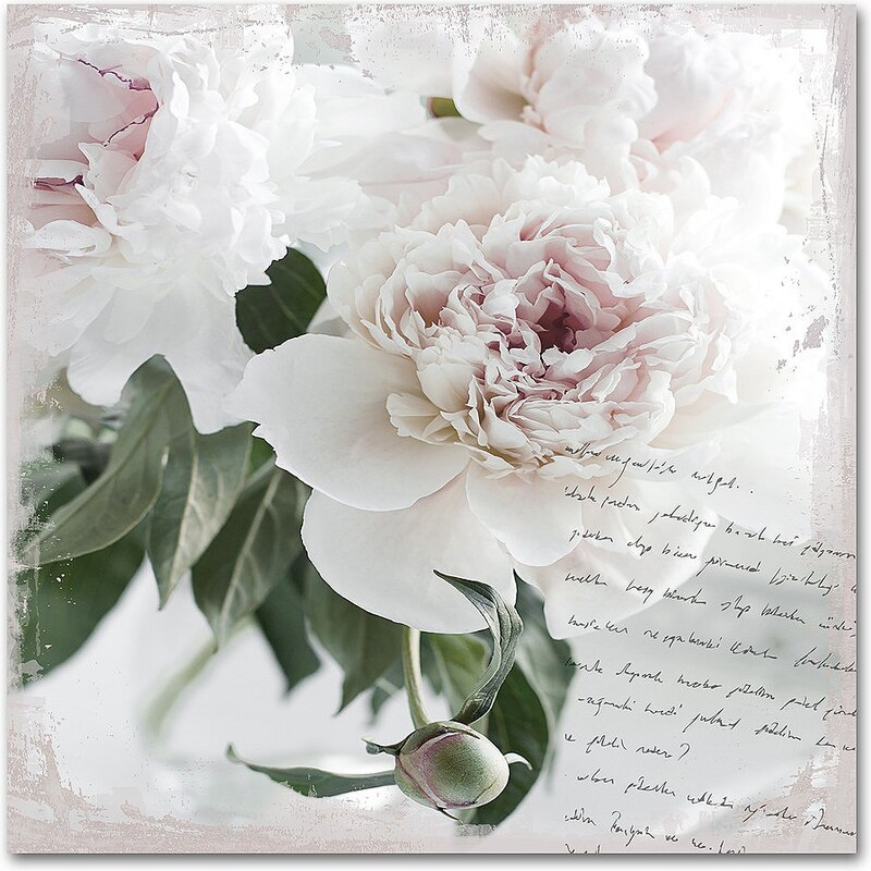 Acrylglasbild »Poesie&Rose«, 50x50cm