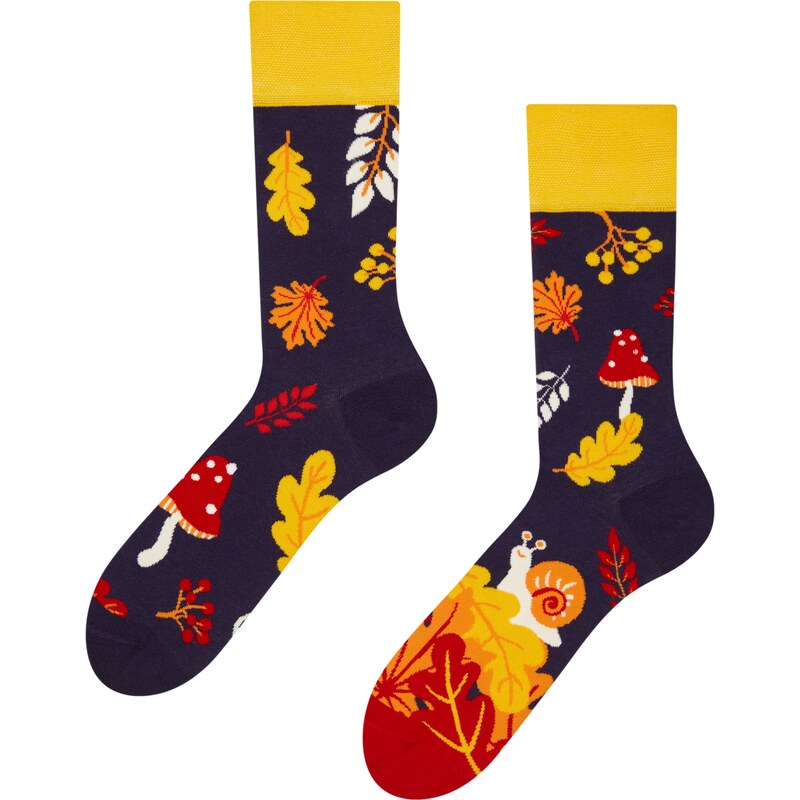 Dedoles Lustige Socken Herbstschnecke