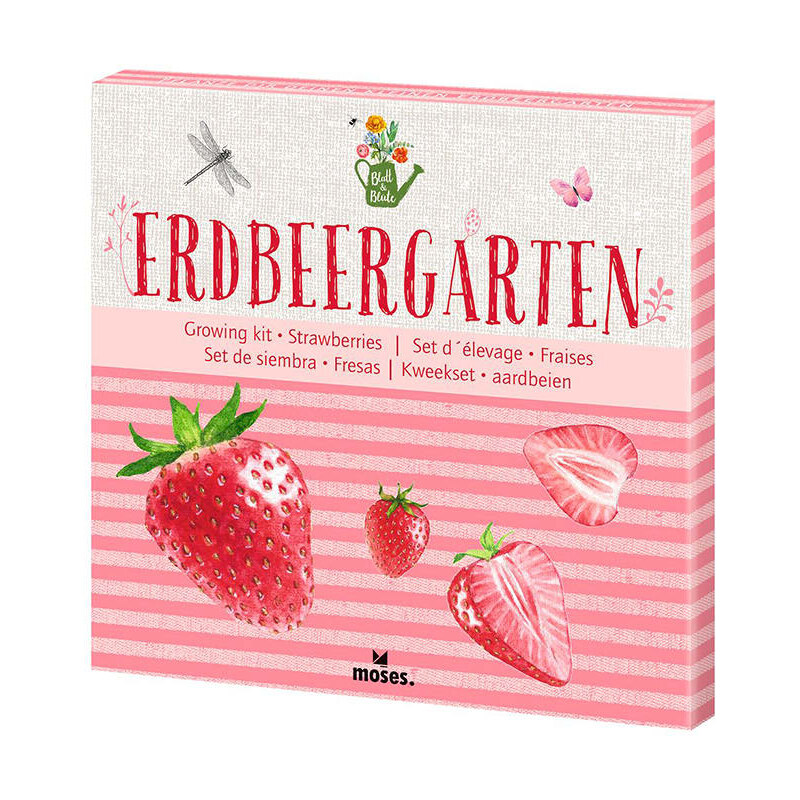 moses. Pflanzset "Blatt & Blüte: Erdbeergarten" - 80 g | onesize