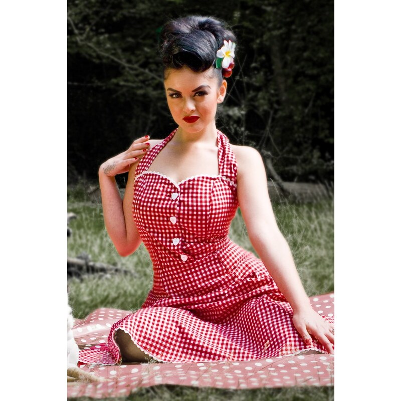 Collectif Clothing 50s Gretel Gingham swing dress red white