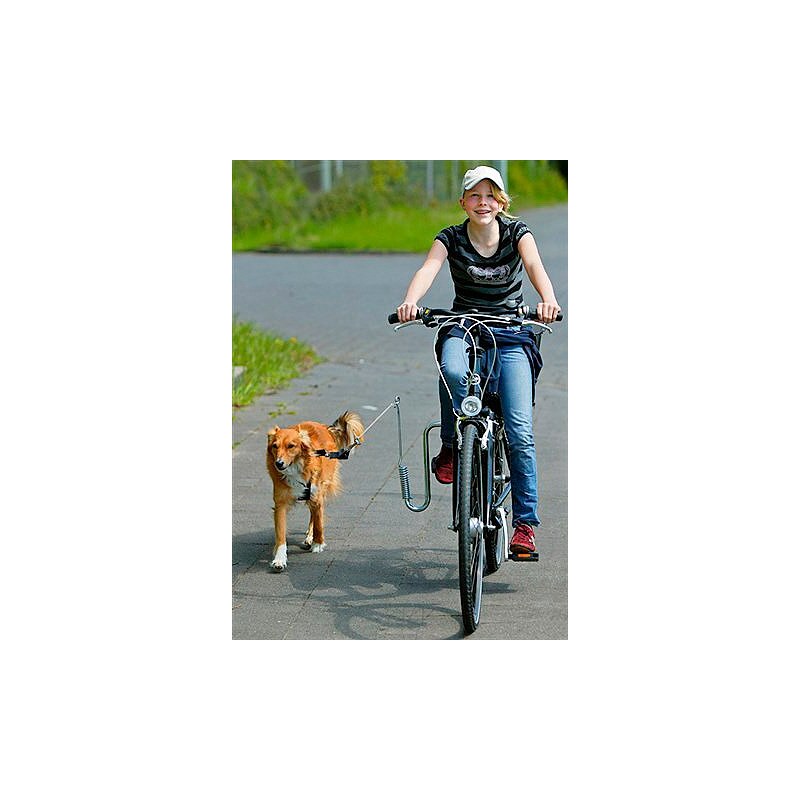 HEIM Fahrradhalter »Fahrradhalter für Hunde«