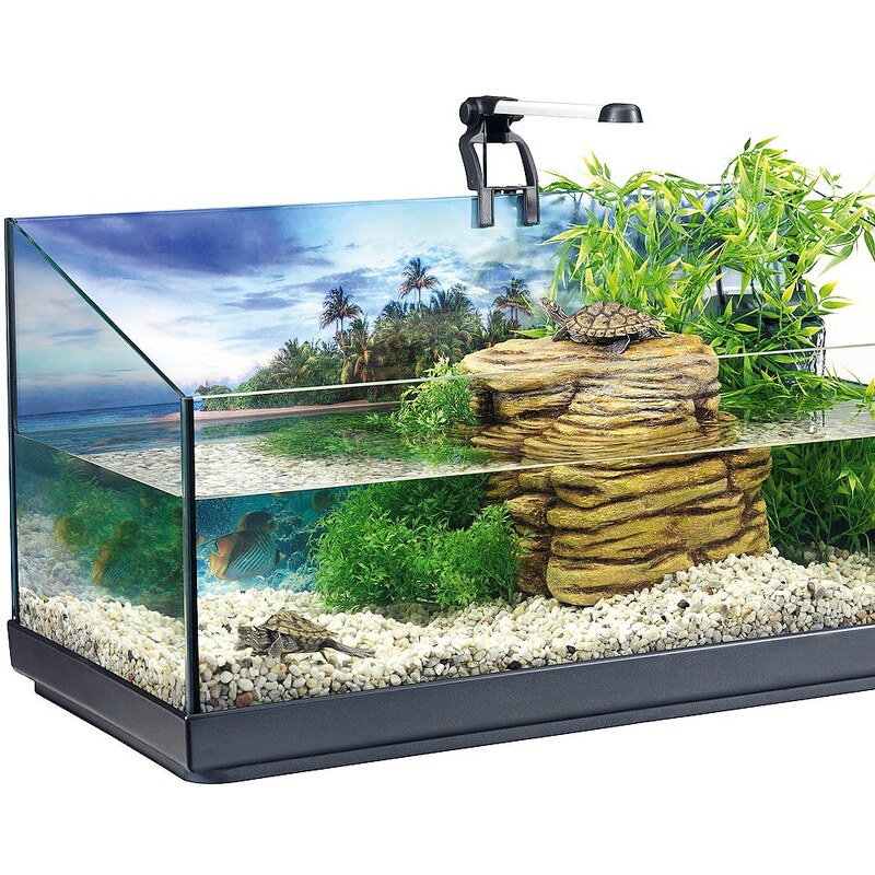 TETRA Set: Aquarien-Set »Repto«, B/T/H: 40/39/77 cm, 40 l, für Wasserschildkröten