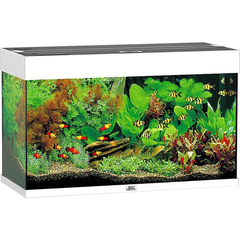 JUWEL AQUARIEN Aquarium »Rio 125«, Maße (B/T/H): 81/36/50 cm