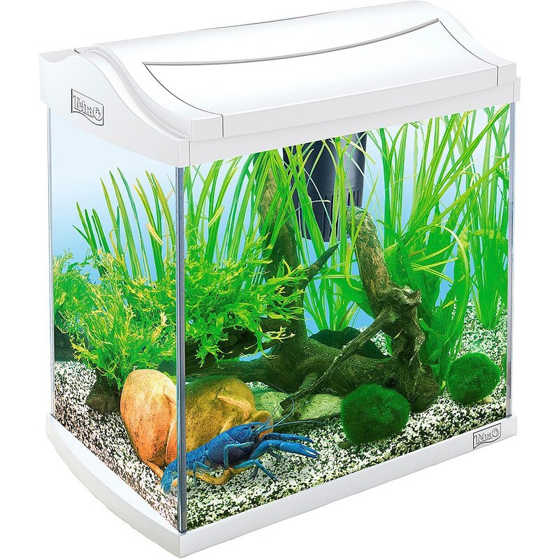TETRA Aquarium »AquaArt II Crayfish« 30 l für Krebse und Garnelen