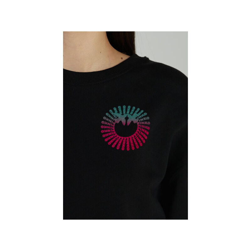 Pinko Sweatshirt ABETONE 4 | Regular Fit