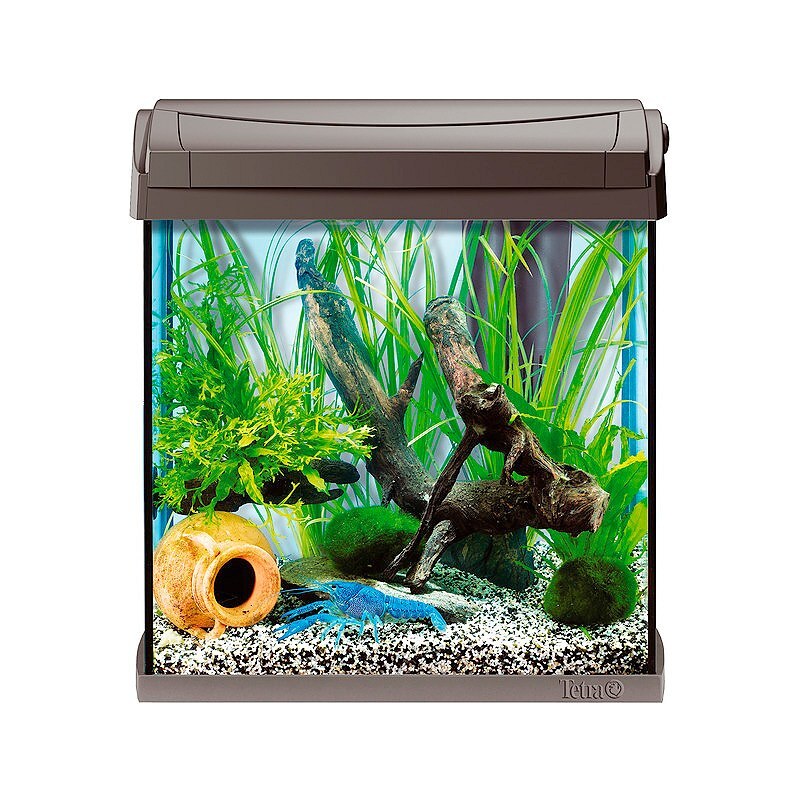 TETRA Aquarium »AquaArt Crayfish« 30 l, anthrazit