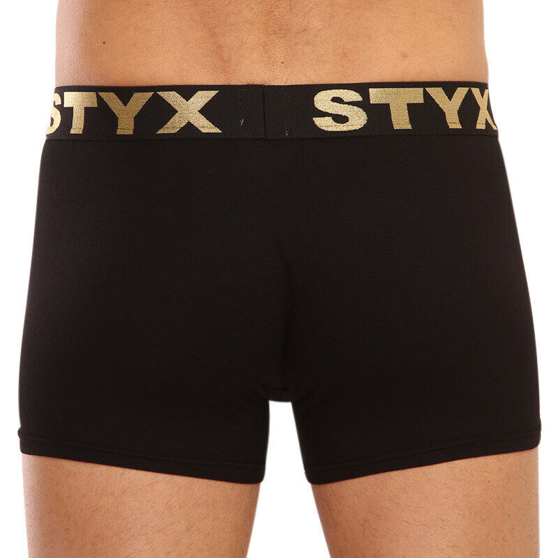 Herren Klassische Boxershorts Styx / KTV sportlicher Gummizug schwarz – schwarzer Gummibund (GTC960) XL