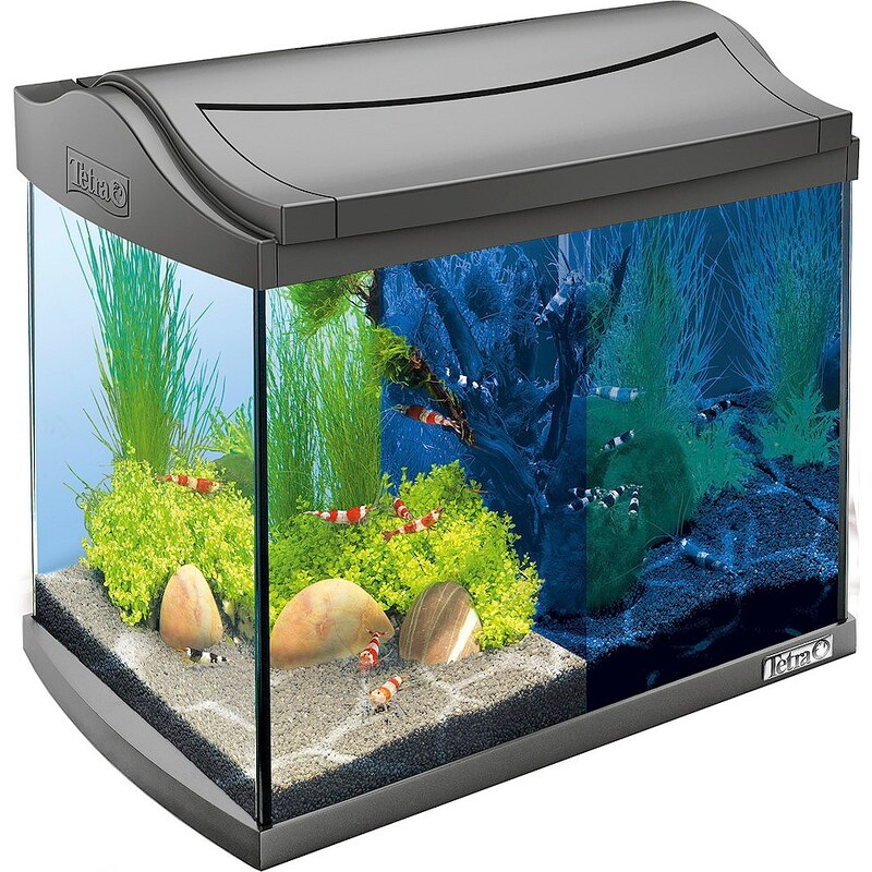 TETRA Aquarium »AquaArt LED Discovery Line« 20 l, anthrazit