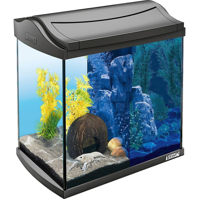 TETRA Aquarium »AquaArt LED Discovery Line« 30 l, anthrazit