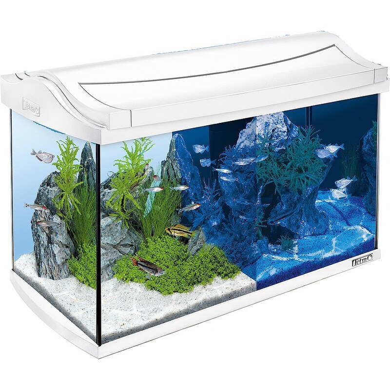 TETRA Aquarium »AquaArt LED Discovery Line« 60 l, weiß