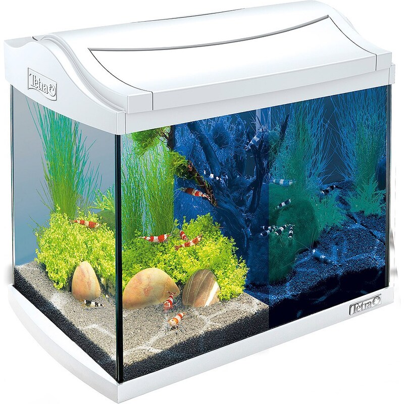 TETRA Aquarium »AquaArt LED Discovery Line« 20 l, weiß
