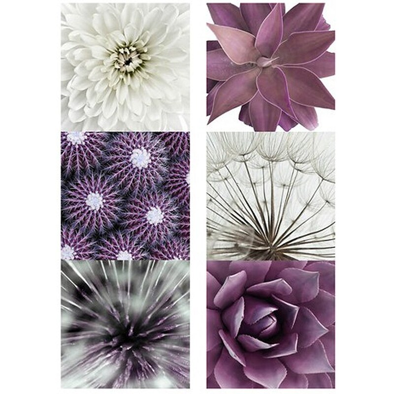 heine home Set: Bilder »Purple Garden« (2 Stck.)