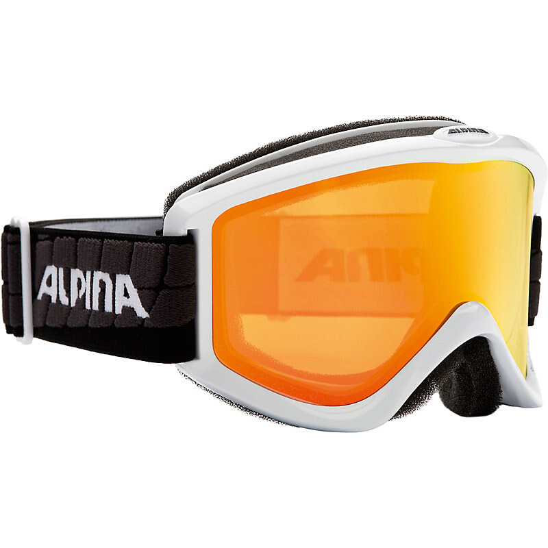 ALPINA Smash 2.0 Skibrille