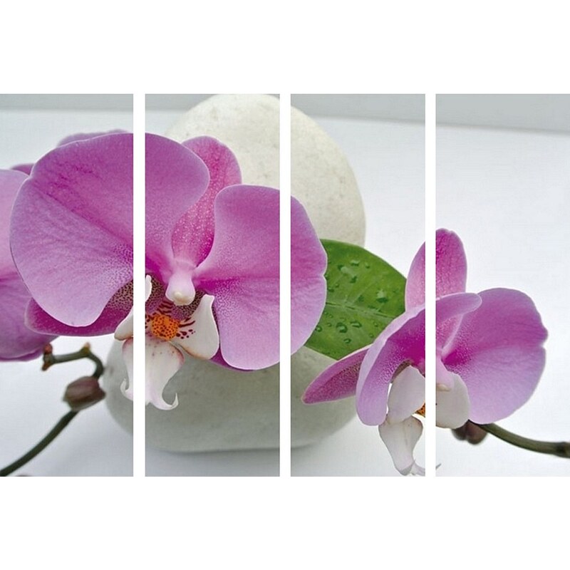 Home Affaire Bild Kunstdruck »Orchidee«, (4-tlg.)
