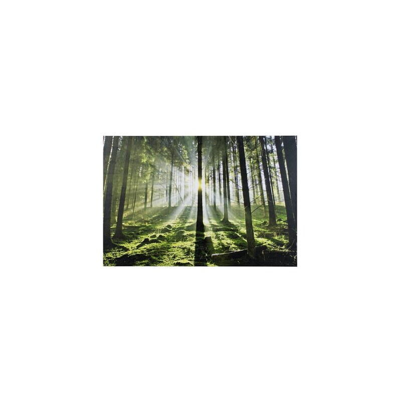 Heine Home Bild „Wald im Gegenlicht“ grün