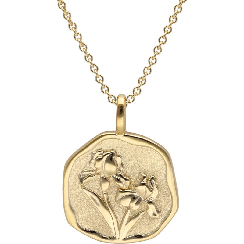 trendor Halskette mit Monatsblume Februar 925 Silber Vergoldet 68002-02-40, 40 cm