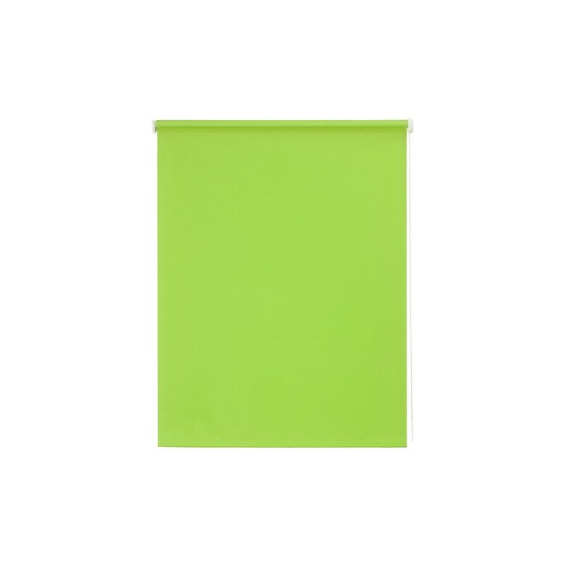 SUNLINES Seitenzugrollo Uni im Fixmaß Verdunkelnd/Energiesparend (1 Stck.) grün 1 (H/B: 180/62 cm),10 (H/B: 240/102 cm),2 (H/B: 180/82 cm),3 (H/B: 180/102 cm),4 (H/B: 180/122 cm),5 (H/B: 180/142 cm),6