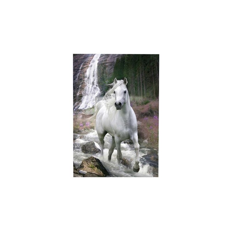 Wandbild Weißes Pferd PREMIUM PICTURE weiß
