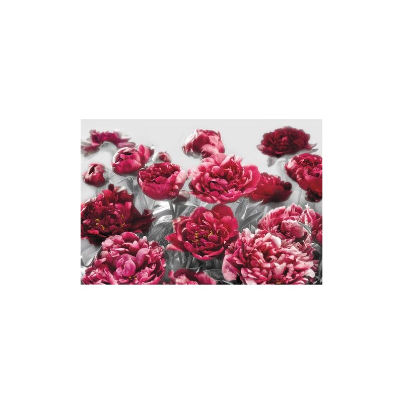 Vliestapete Temtation 368/248 cm KOMAR rosa