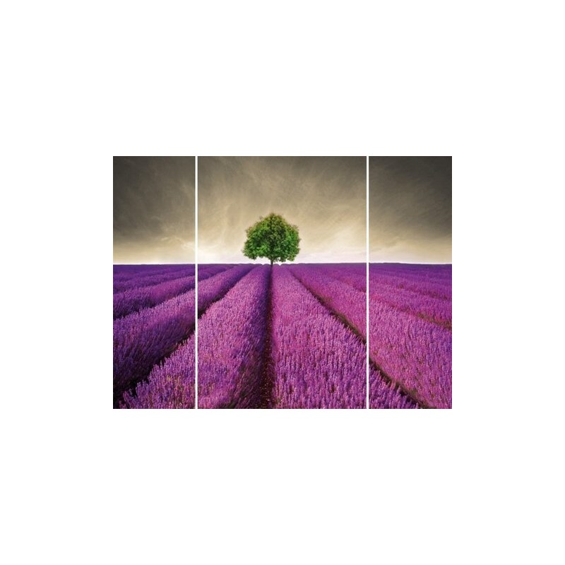 Bild Kunstdruck Lavendelfeld (3-tlg.) HOME AFFAIRE lila