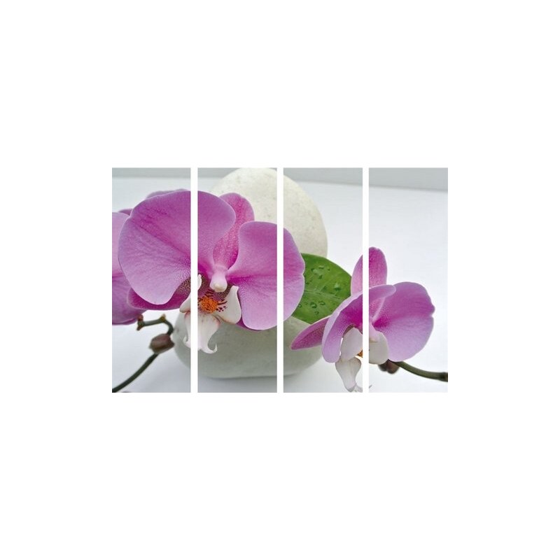 Bild Kunstdruck Orchidee (4-tlg.) HOME AFFAIRE lila