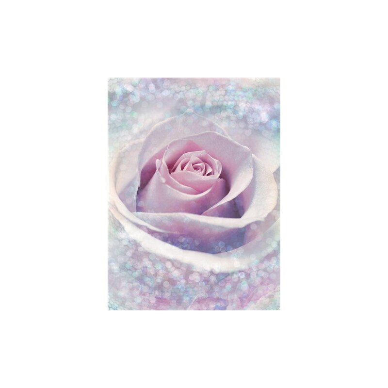 Vliestapete Delicate Rose 184/248 cm KOMAR rosa
